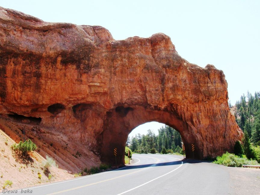 Red Canyon Tunnel 1