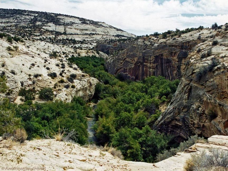 View south in Calf Creek Canyon