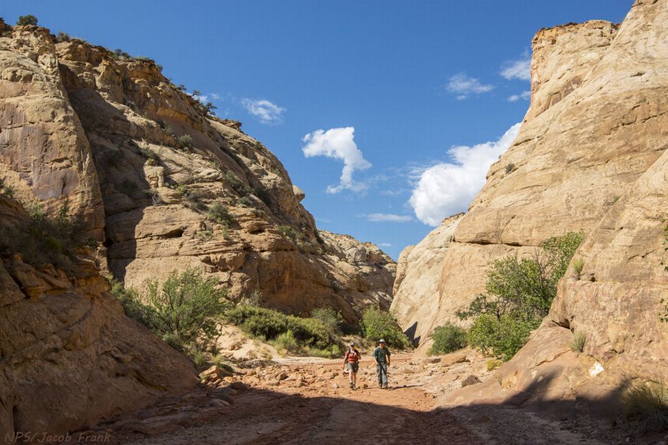 Hikers in Capitol Gorge