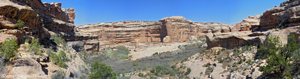 View of Grand Gulch