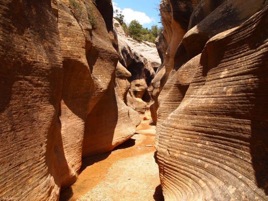 Willis Creek