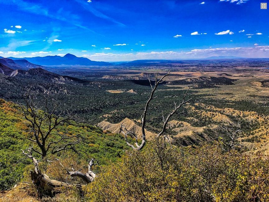 Mesa Verde landscape