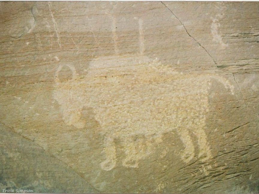 Ute Bison Petroglyph
