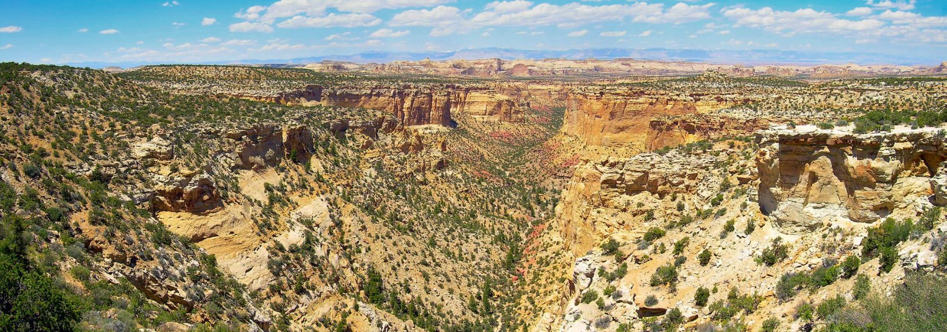 Eagle Canyon panorama