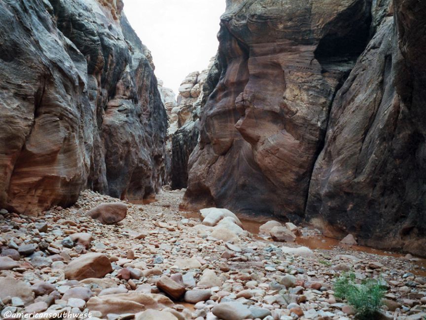 Rocky floor in White Canyon